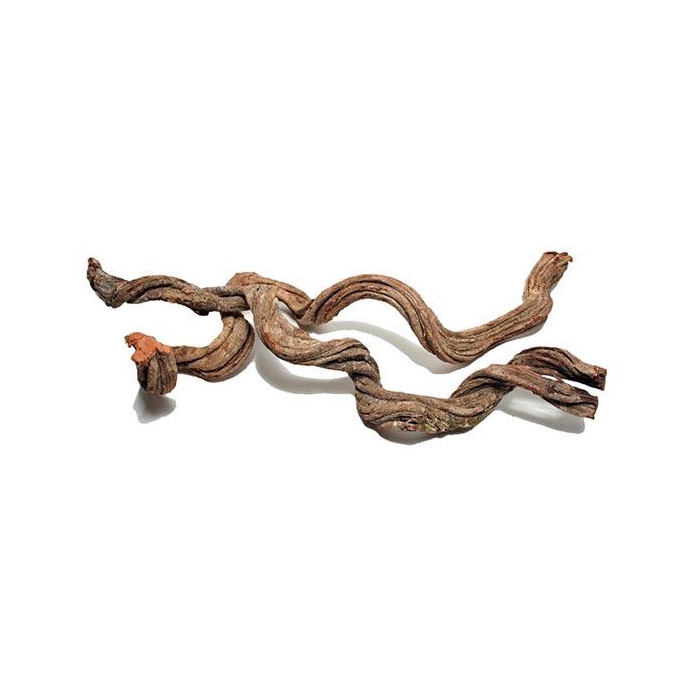 <h4>Branch Cipo Rosca L100D6</h4>