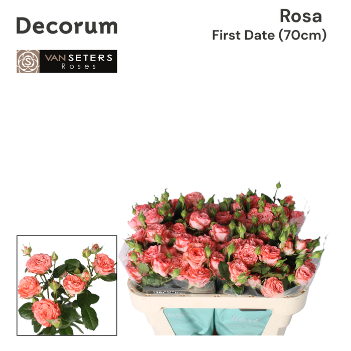 <h4>R Tr First Date 70</h4>