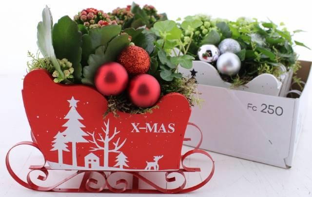 <h4>ARR KAMERPL</h4>