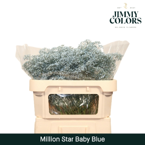 <h4>Gyps Million Star L70 Light blue</h4>