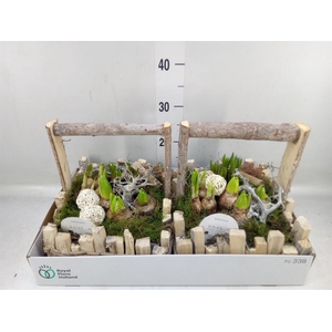 Arr.   Bol/Knolgewas L%