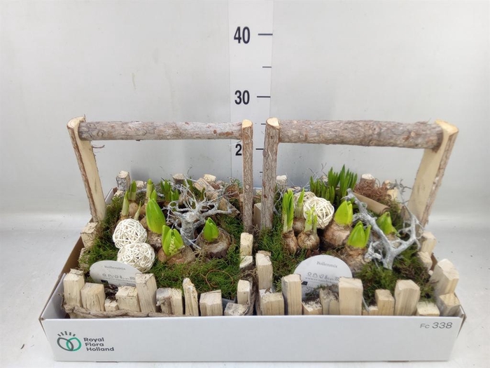 <h4>Arr.   Bol/Knolgewas L%</h4>