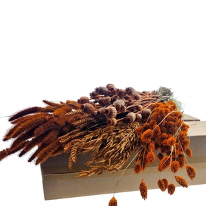 Droogbloem DIY box assorti 65-70cm
