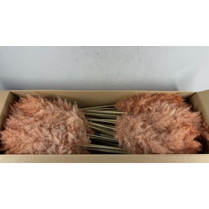 Df Pampas 115cm Copper/brown