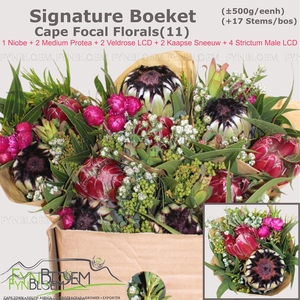 PROTEA PER BOS