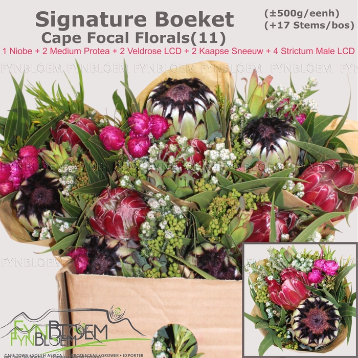 <h4>PROTEA PER BOS</h4>