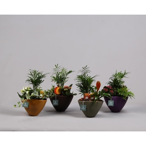 Pot keramiek ovaal 4 kleuren met Arrangement