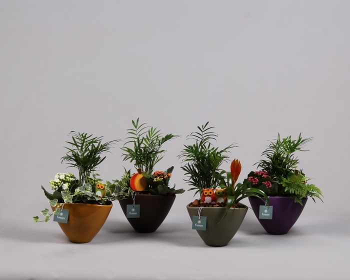 <h4>Pot keramiek ovaal 4 kleuren met Arrangement</h4>