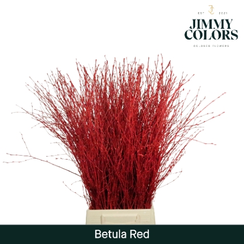 <h4>Betula L70 Red</h4>