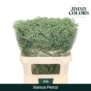 Gyps Xlence L80 Petrol