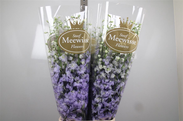 <h4>Delph Du Dewi Impress Lilac</h4>