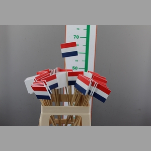 ,,DIV EXAMEN VLAG