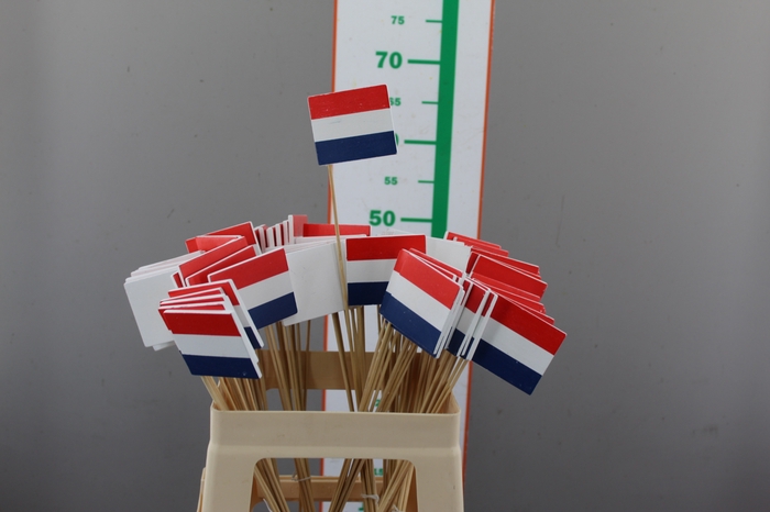 ,,DIV EXAMEN VLAG