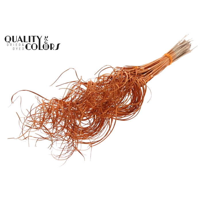 <h4>Palm Curly TT 3pc/tuft - 33 tuft/bunch Orange</h4>