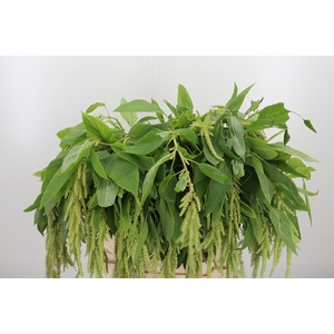 Amar Ca Green Pearls