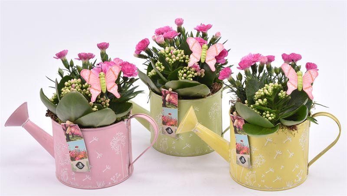 <h4>Zink gieter decor mix 13cm</h4>