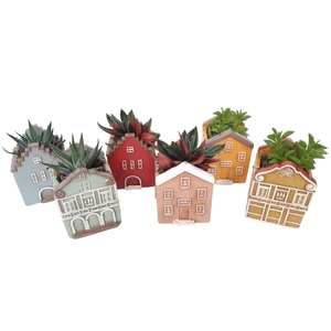 Planten  ..in schaal L%