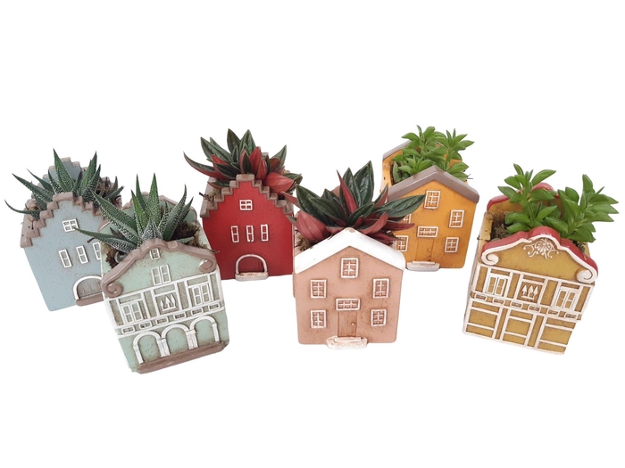 <h4>Planten ..in schaal L%</h4>