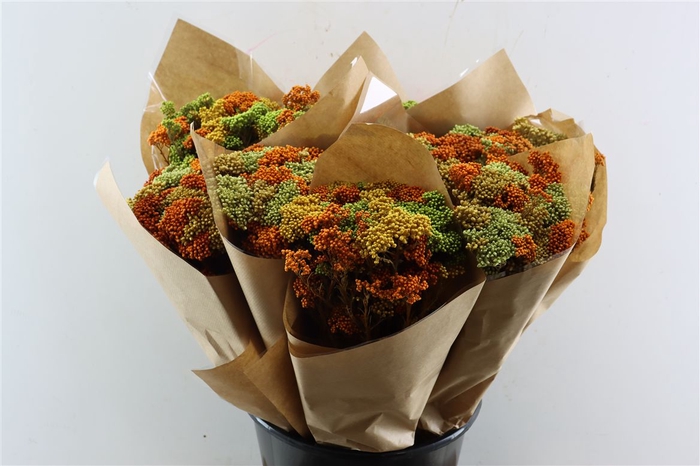 <h4>Dried Bqt Riceflower Mix Pastel Bunch</h4>