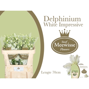 DELPH DU DEWI IMP WH