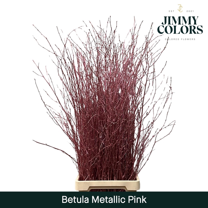 <h4>Betula L120 Mtlc. Pink</h4>