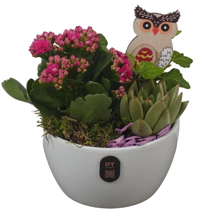 <h4>Arr.    Planten  L%</h4>