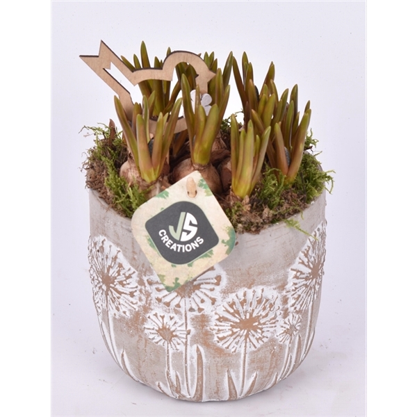 <h4>Cement pot bloemdecor 13,5cm</h4>