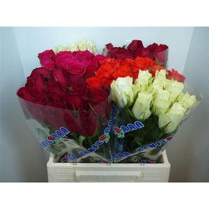 R Gr Gemengd In Fust