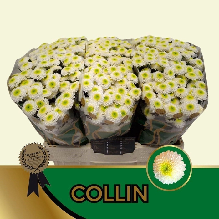 <h4>CHR SAN COLLIN CHR S COLLIN</h4>