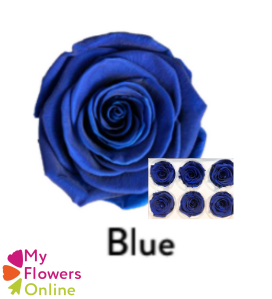 <h4>Roses Éternelles Bleu Fonce x6</h4>