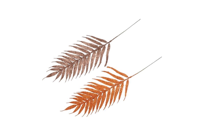 Pick Shine Fern Copper/bronze 48cm Ass P/12 Nm