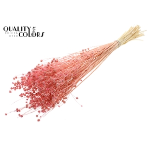 Lino Vlas per bunch in poly Intense Frosted Pink