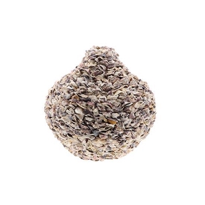 Vase Oyster Talaba H43D51