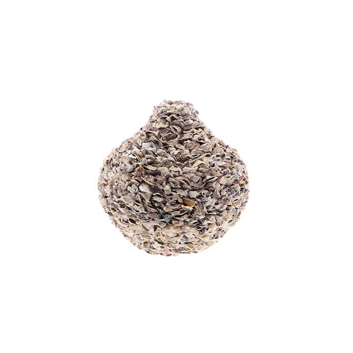 <h4>Vase Oyster Talaba H43D51</h4>