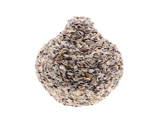 Vase Oyster Talaba H43D51