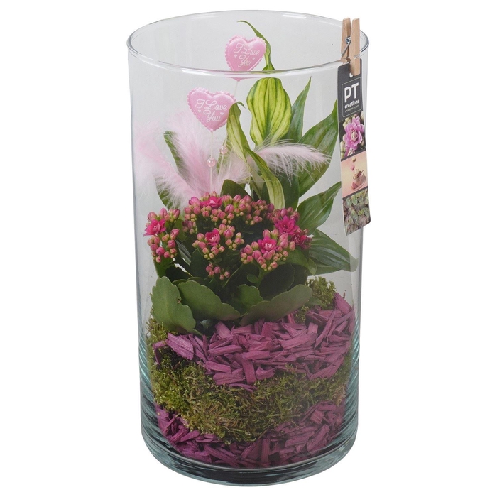 <h4>Arr.    Planten  L%</h4>