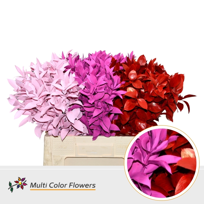 <h4>Ruscus Love Mix</h4>