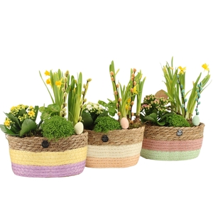 70765: Easter arrangement