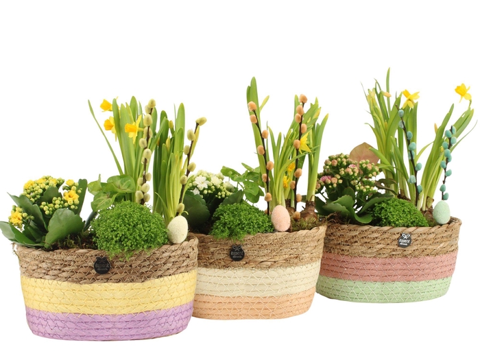 <h4>70765: Easter arrangement</h4>