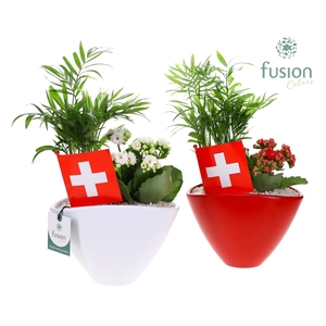 Pot keramiek Oval Small Zwitserland met arrangement