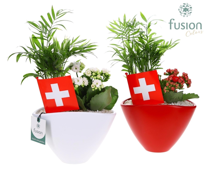 <h4>Pot keramiek Oval Small Zwitserland met arrangement</h4>