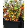 EGGPLANTS (AUBERGINE) ORANGE 1KG