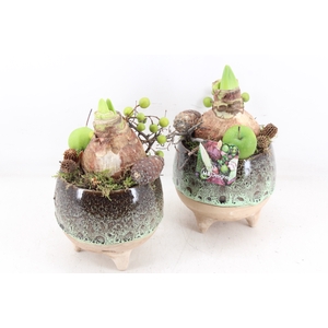 arr4 Amaryllis MB - Luxe bolpotje op pootjes x6