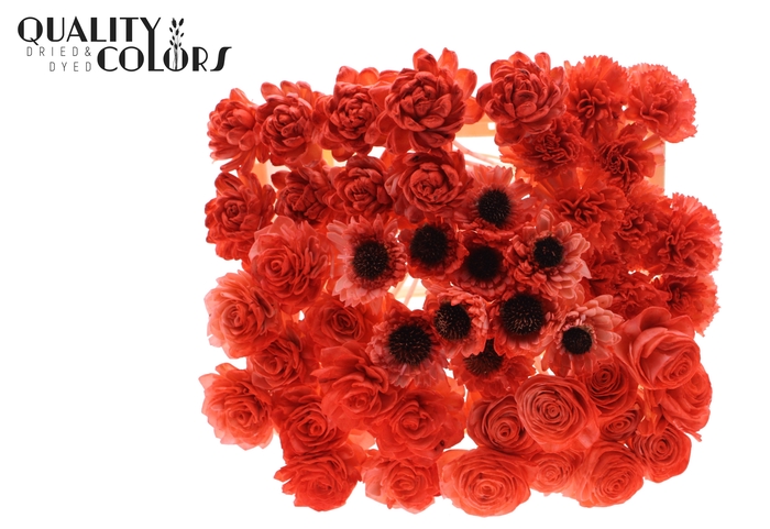 Shola Flower Mix on stem Coral