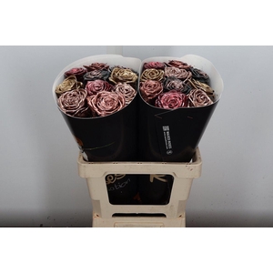 R Wx (rn) Mix Copper