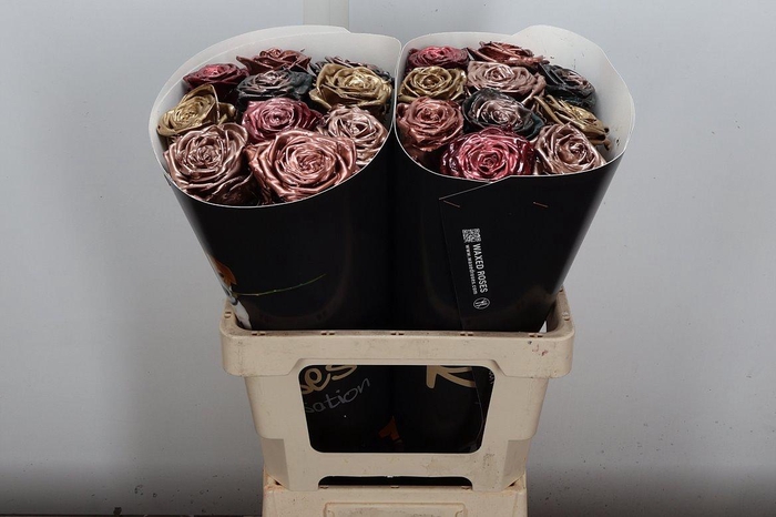 <h4>R Wx (rn) Mix Copper</h4>