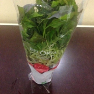 Raapstelen / Mizuna P9