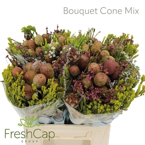Bouquet Cone Mix