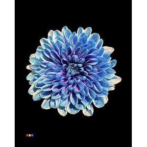 Chr T Altaj Blue Lagoon