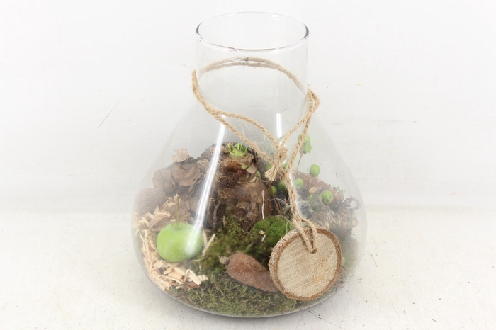 <h4>arr4 Amaryllis MB - Glas paris L x3</h4>